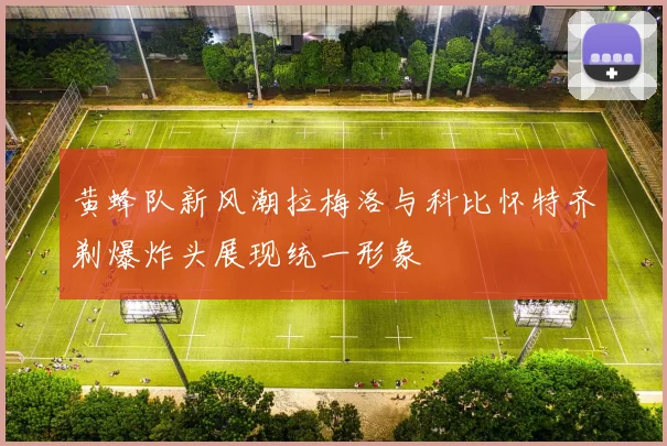 黄蜂队新风潮拉梅洛与科比怀特齐剃爆炸头展现统一形象
