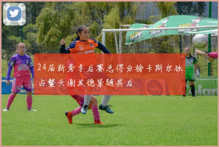 24届新秀季后赛总得分榜卡斯尔独占鳌头谢泼德紧随其后